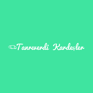 Tanrıverdi Kardeşler Nakliyat logosu